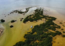 DJI_0092.jpg