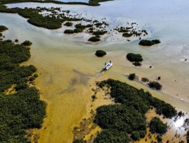 DJI_0097.jpg
