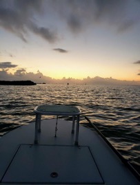IMG_0022.JPG