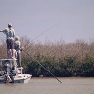 BA-IMG_3665.jpg