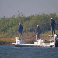 IMG_2323B.jpg