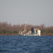 IMG_2976b.jpg