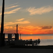 IMG_4376.jpg