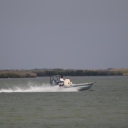 LM22-21.jpg